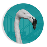 Flamingo Cam Tablo.