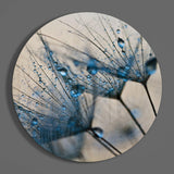 Karahindiba Cam Tablo.