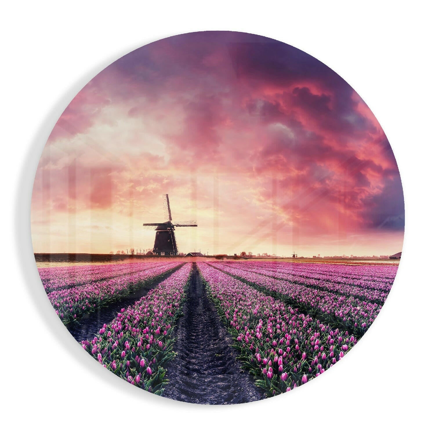 Lale Bahçesi Cam Tablo.