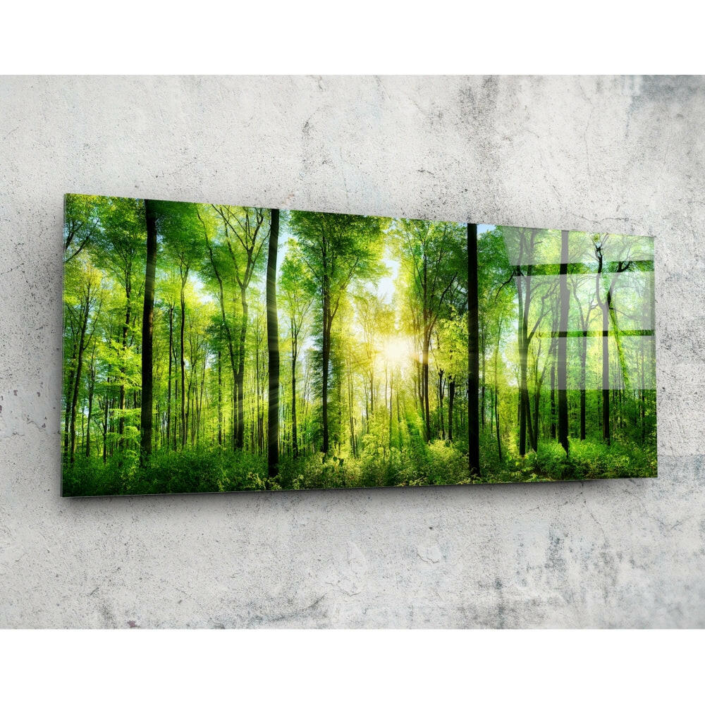 Orman 92x36cm Cam Tablo.