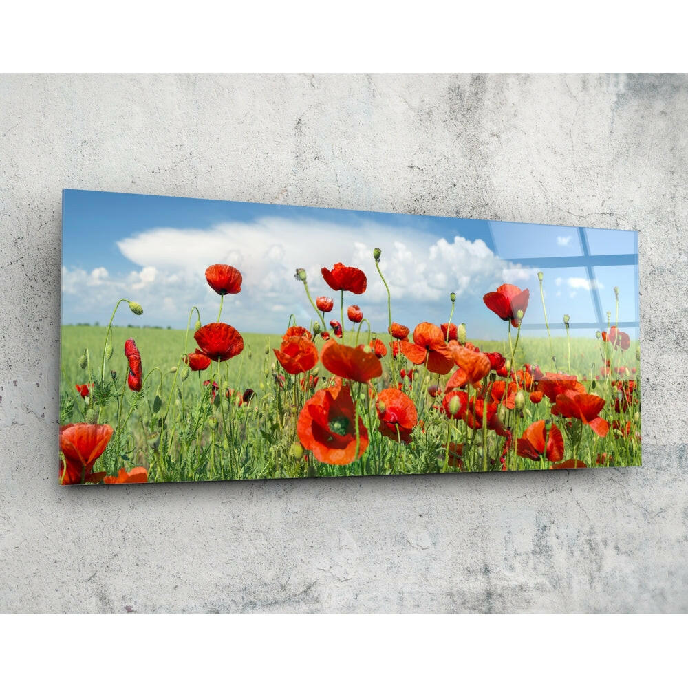 Gelincik Çiçeği 92x36cm Cam Tablo.