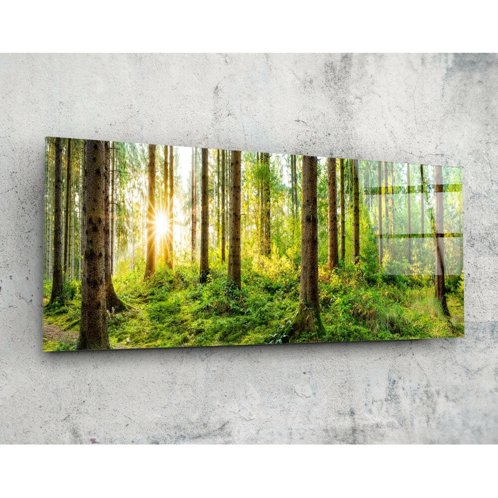 Orman 92x36cm Cam Tablo.
