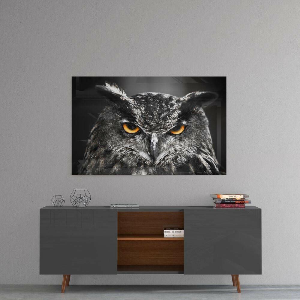 Baykuş Cam Tablo.