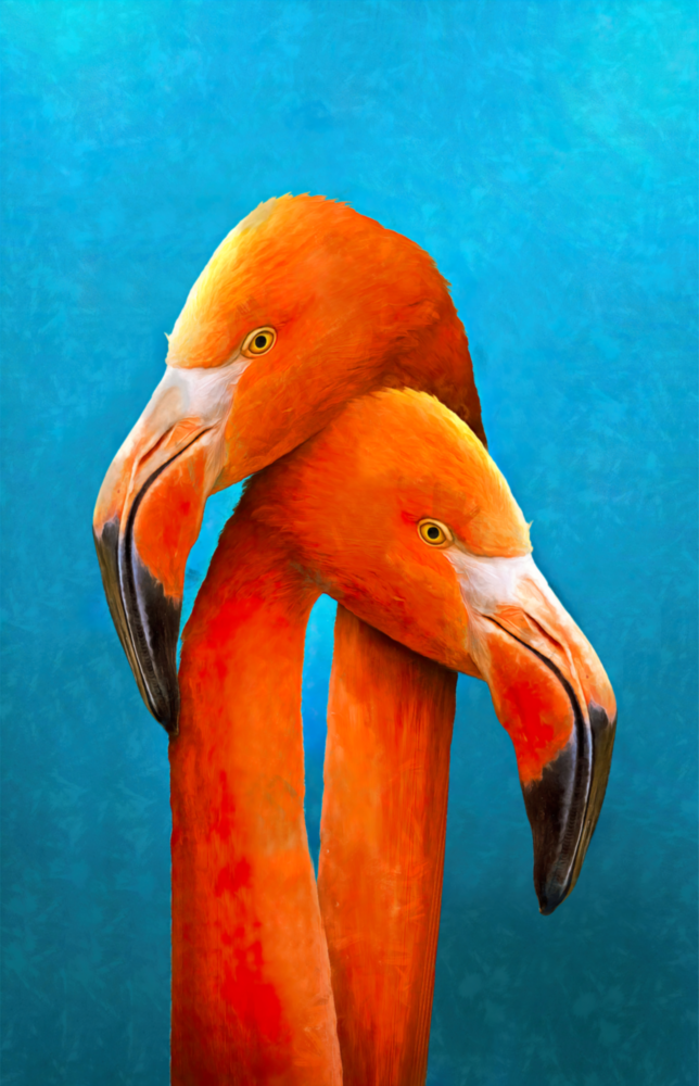Flamingolar Cam Tablo