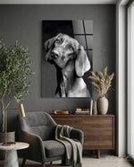 Masum Köpek Cam Tablo