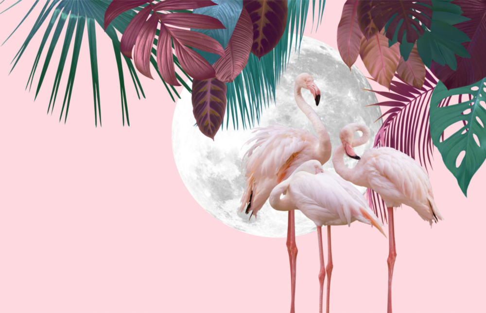 Flamingo Cam Tablo