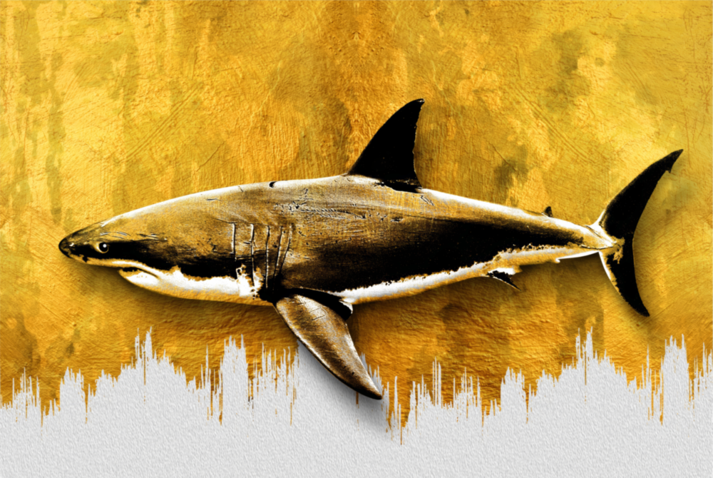 Köpek balığı  Cam Tablo