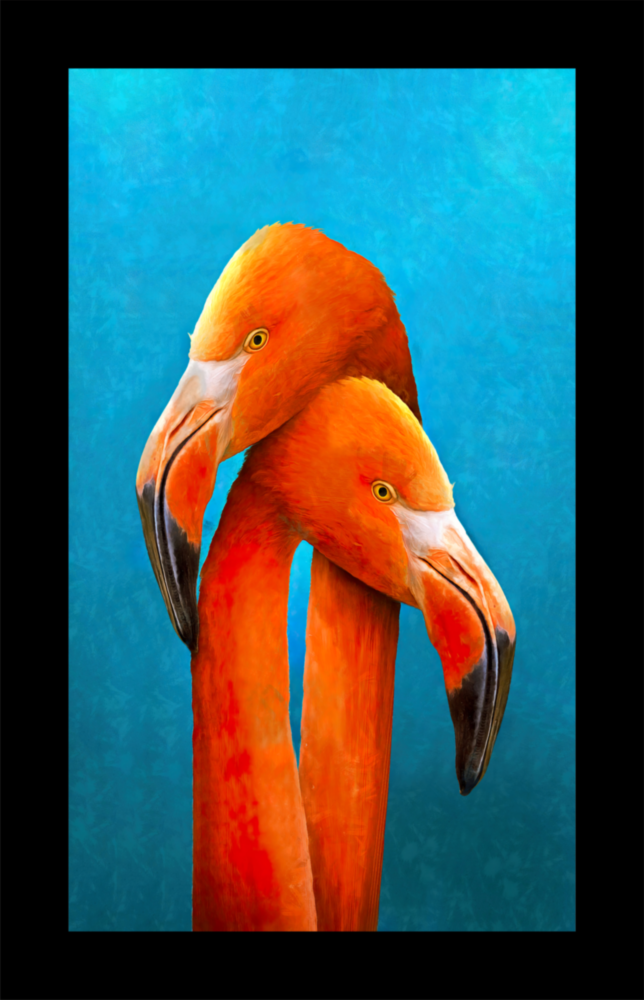 Flamingolar Cam Tablo