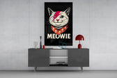 Meowie Bowie Kedi Cam Tablo