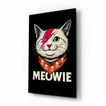 Meowie Bowie Kedi Cam Tablo
