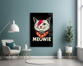 Meowie Bowie Kedi Cam Tablo