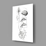 Balance Brain Heart Tree and Divers Glass Wall Art