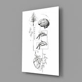 Balance Brain Heart Tree and Divers Glass Wall Art