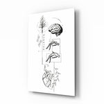 Balance Brain Heart Tree and Divers Glass Wall Art