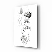 Balance Brain Heart Tree and Divers Glass Wall Art