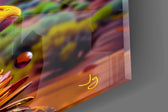 Sunset Desert Sunflower Face Glass Wall Art