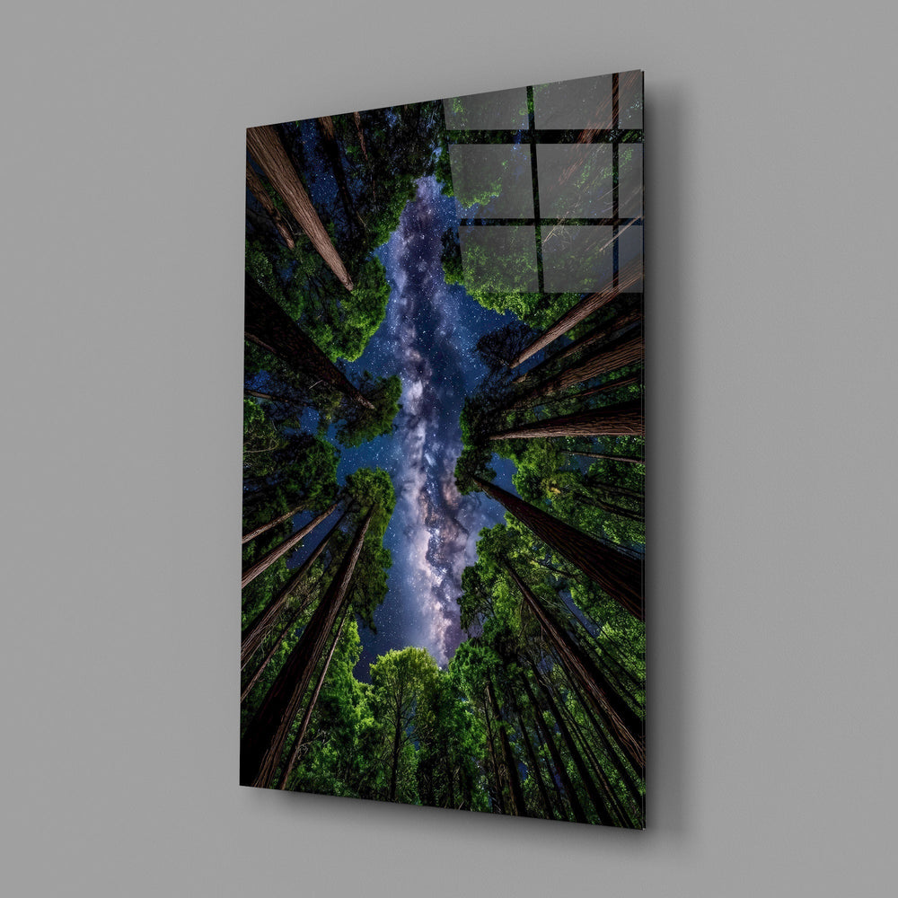 Redwood Canopy Milky Way Night Sky Glass Wall Art