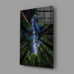 Redwood Canopy Milky Way Night Sky Glass Wall Art