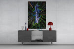 Redwood Canopy Milky Way Night Sky Glass Wall Art