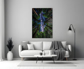Redwood Canopy Milky Way Night Sky Glass Wall Art