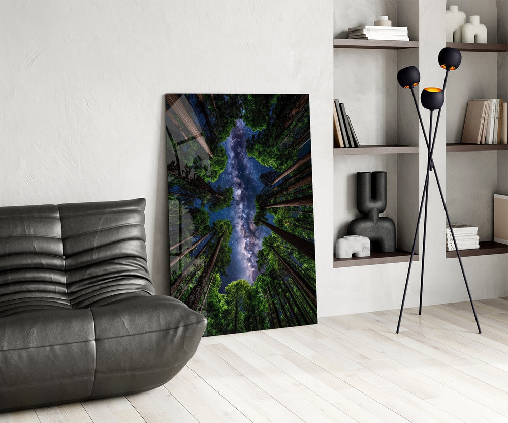 Redwood Canopy Milky Way Night Sky Glass Wall Art