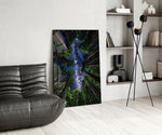Redwood Canopy Milky Way Night Sky Glass Wall Art