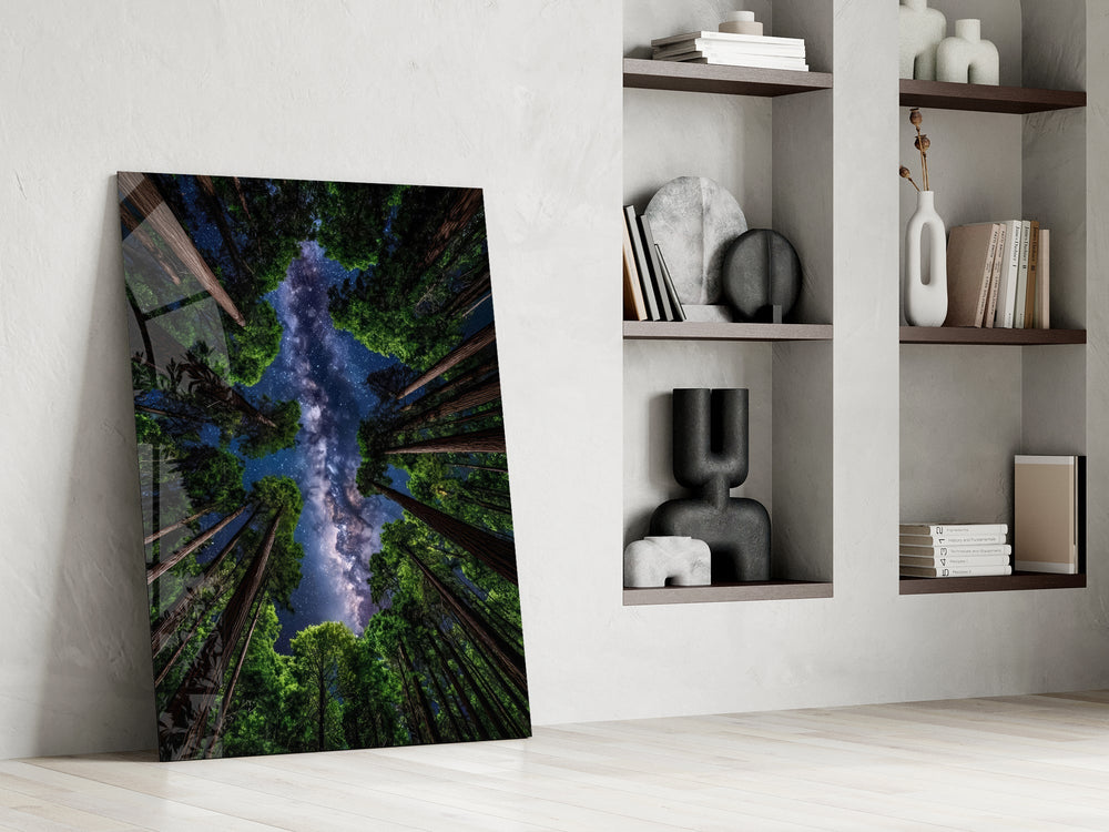 Redwood Canopy Milky Way Night Sky Glass Wall Art