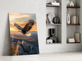 Soaring Bald Eagle Autumn Sunset Glass Wall Art