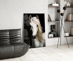 White Horse Flowing Mane Black Backdrop Glass Wall Art