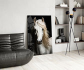 White Horse Flowing Mane Black Backdrop Glass Wall Art