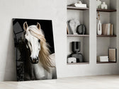 White Horse Flowing Mane Black Backdrop Glass Wall Art