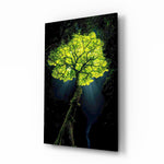 Glowing Golden Tree at Night Glass Wall Art