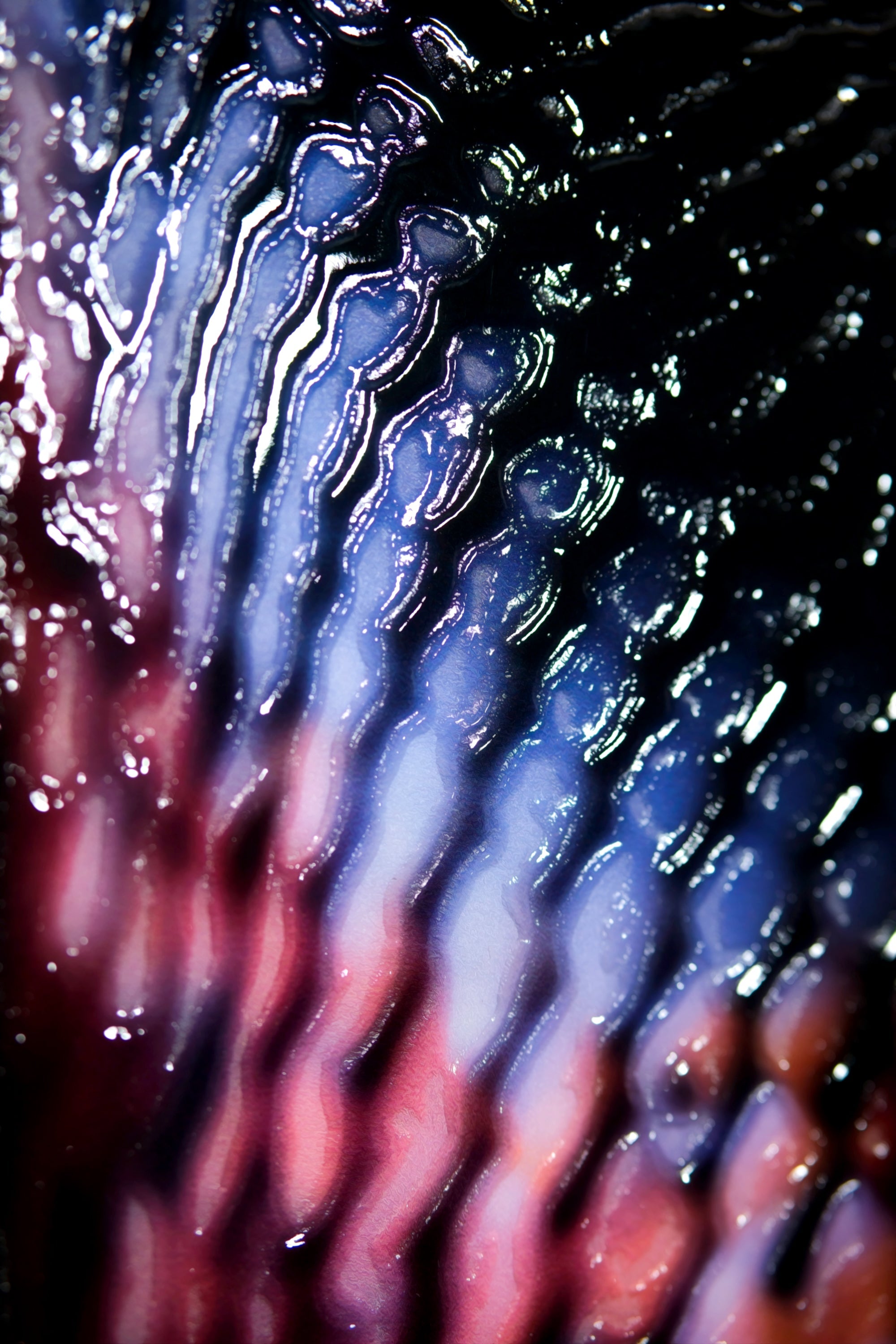 Siyah Zehir – 3D Kabartmalı Parlak Lak Alüminyum Tablo