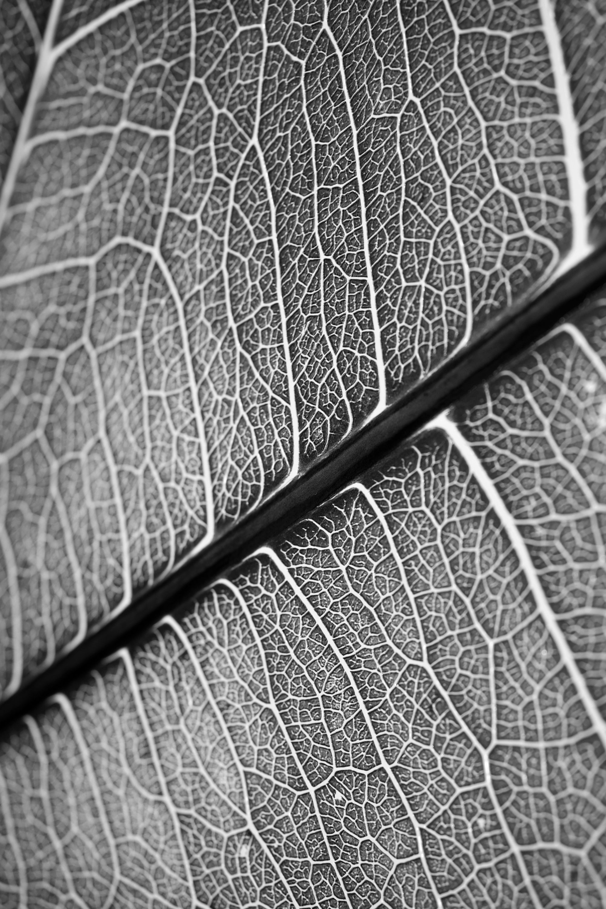 Silver Veins – 3D Kabartmalı, Parlak Lak Detaylı Alüminyum Tablo