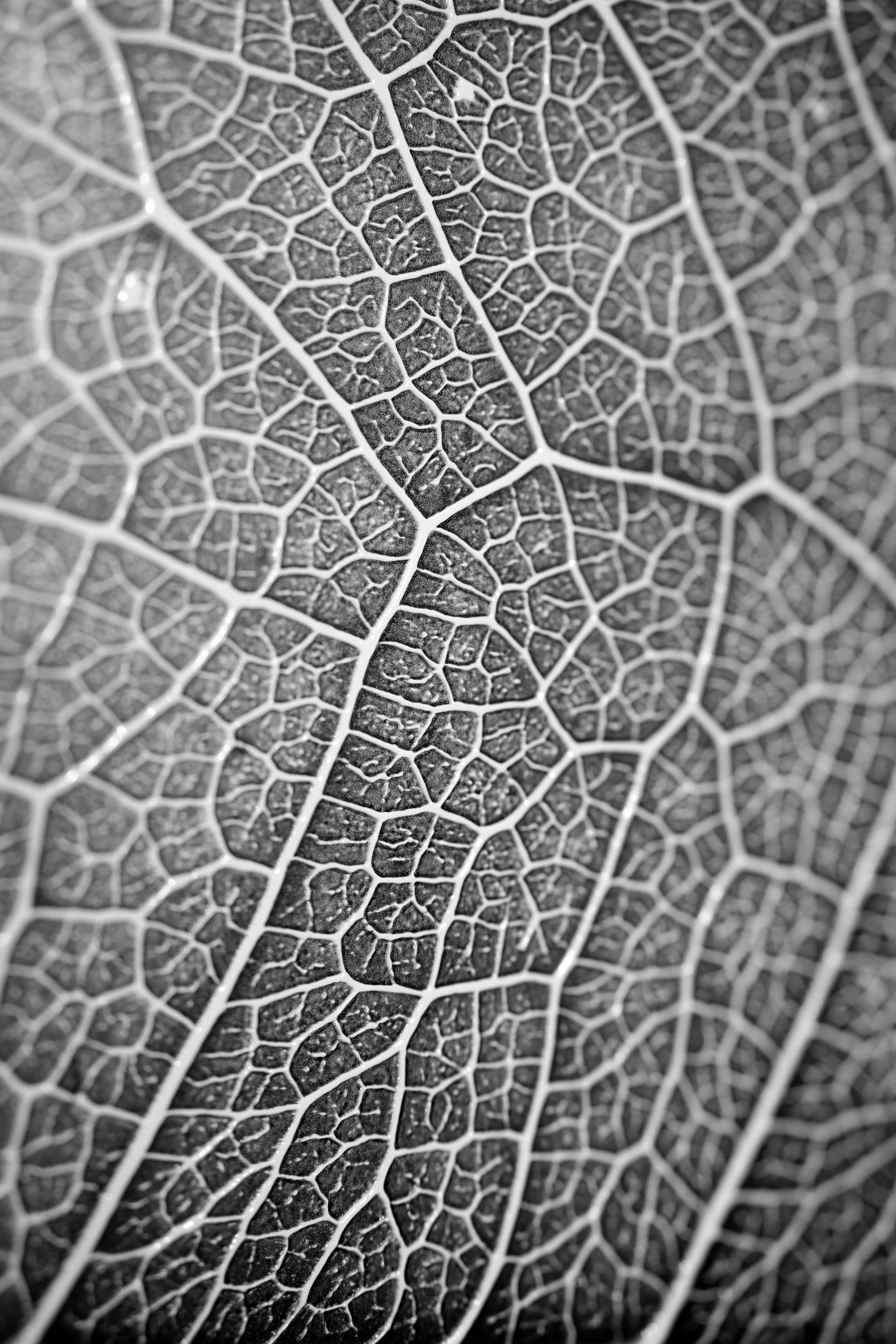 Silver Veins – 3D Kabartmalı, Parlak Lak Detaylı Alüminyum Tablo