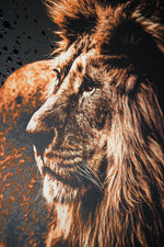 Lacquer Rain King – 3D Kabartmalı Parlak Lak Aslan Tablo