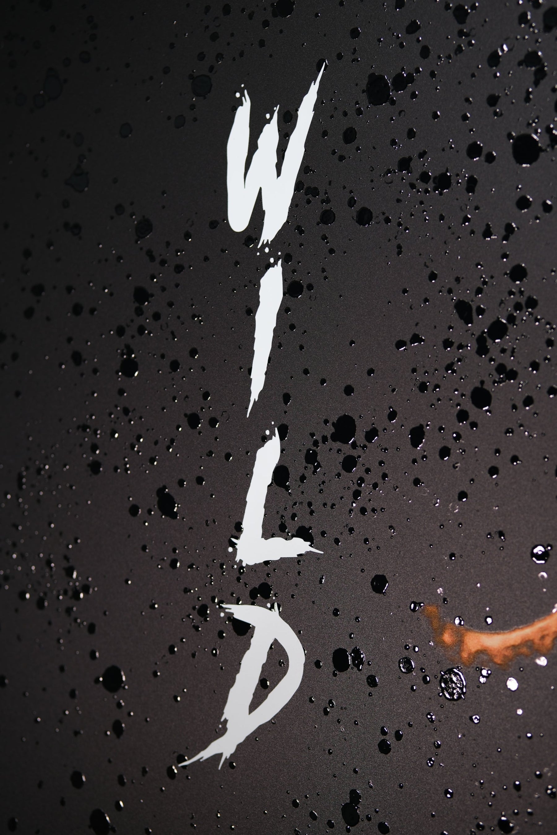 Lacquer Rain King – 3D Kabartmalı Parlak Lak Aslan Tablo