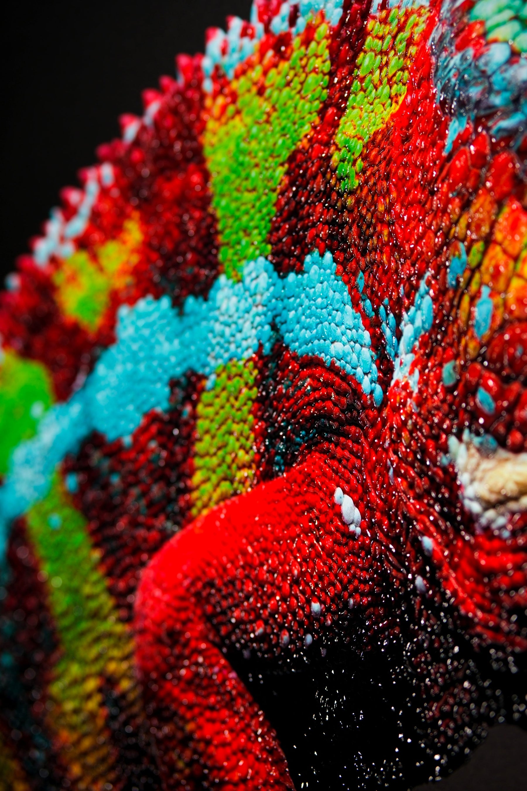 Prismskin Guardian, Prizma Muhafızı — Dokunsal 3D Rölyef ve Yüksek Parlaklıkta Lake