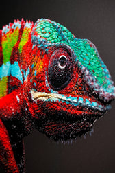 Prismskin Guardian, Prizma Muhafızı — Dokunsal 3D Rölyef ve Yüksek Parlaklıkta Lake