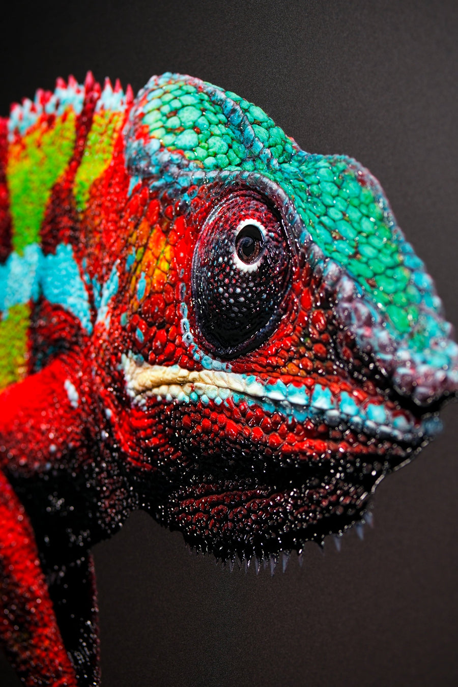 Prismskin Guardian, Prizma Muhafızı — Dokunsal 3D Rölyef ve Yüksek Parlaklıkta Lake