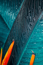 Teal Canopy Flame – 3D Kabartmalı, Parlak Laklı Alüminyum Tablo