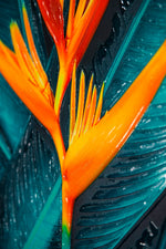 Teal Canopy Flame – 3D Kabartmalı, Parlak Laklı Alüminyum Tablo