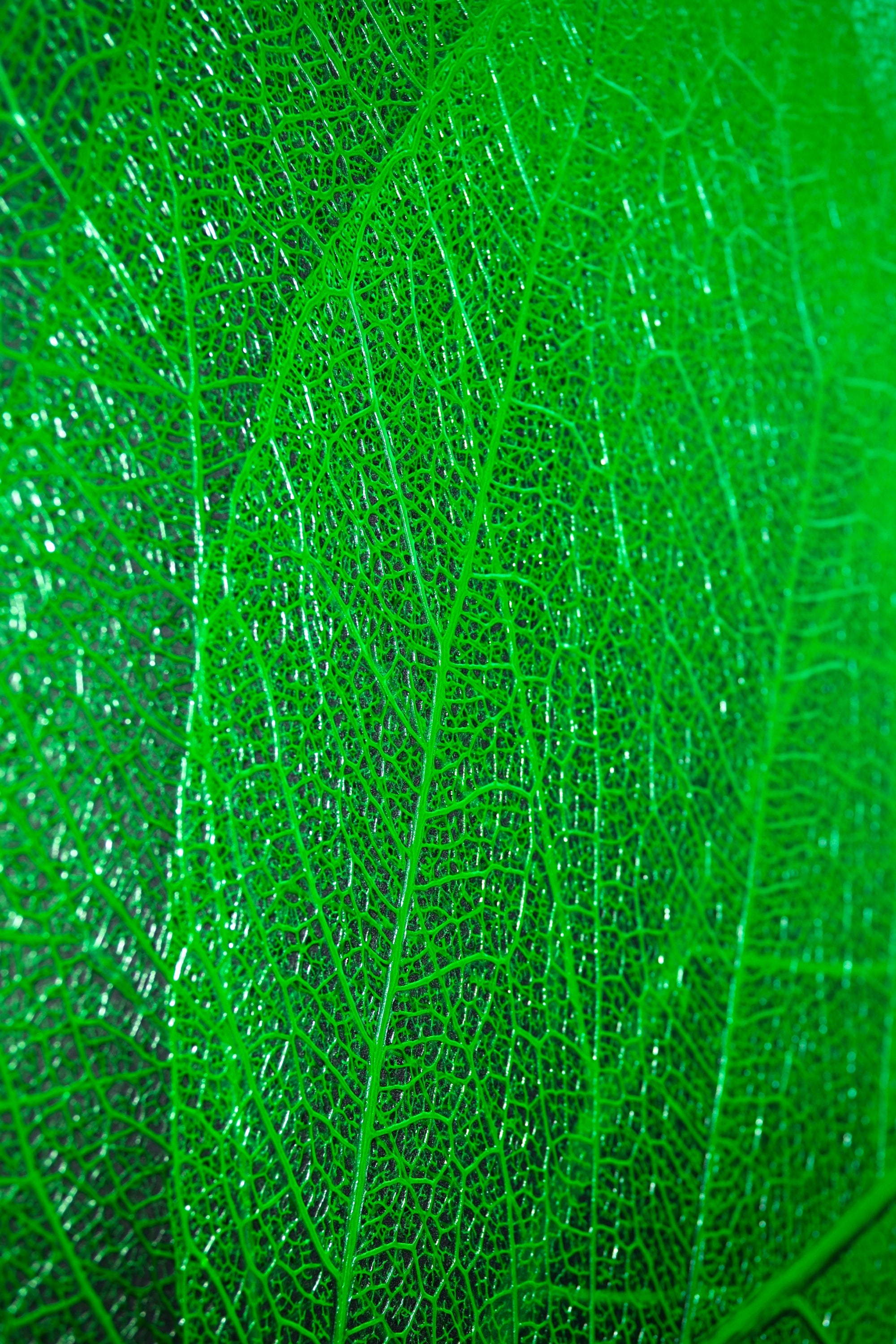 Verdant Lattice: Botanik Ağ — Hissedilebilir 3D Kabartma + Parlak Lake Baskı