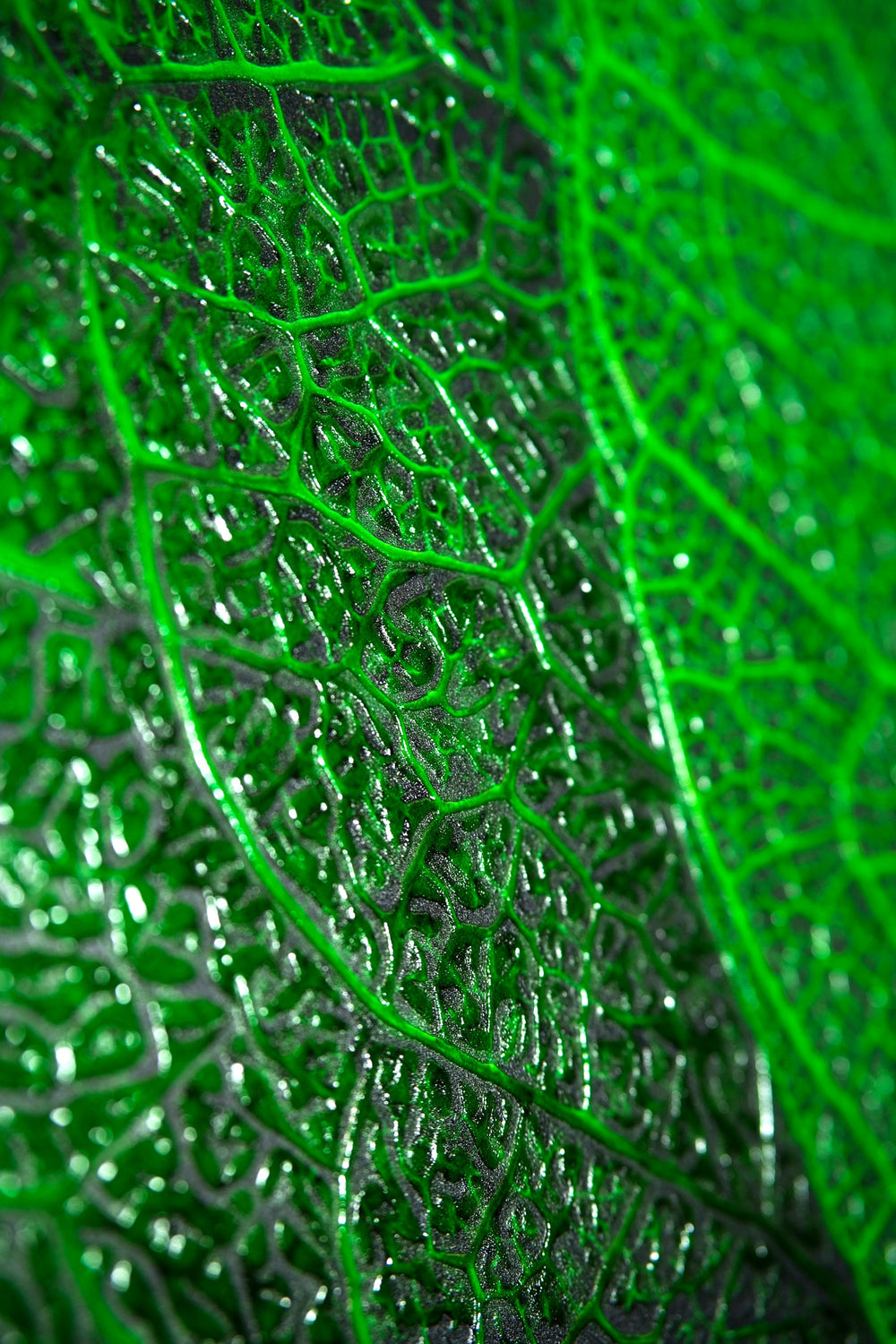 Verdant Lattice: Botanik Ağ — Hissedilebilir 3D Kabartma + Parlak Lake Baskı