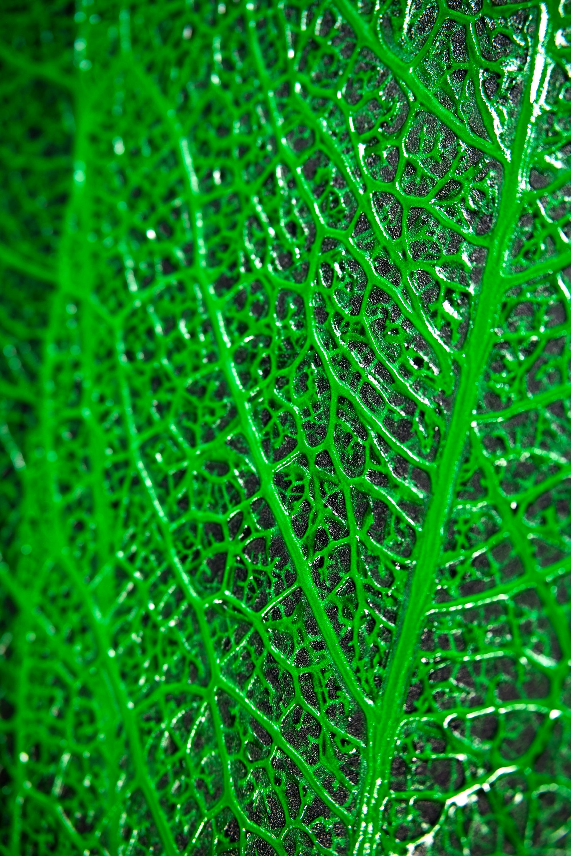 Verdant Lattice: Botanik Ağ — Hissedilebilir 3D Kabartma + Parlak Lake Baskı