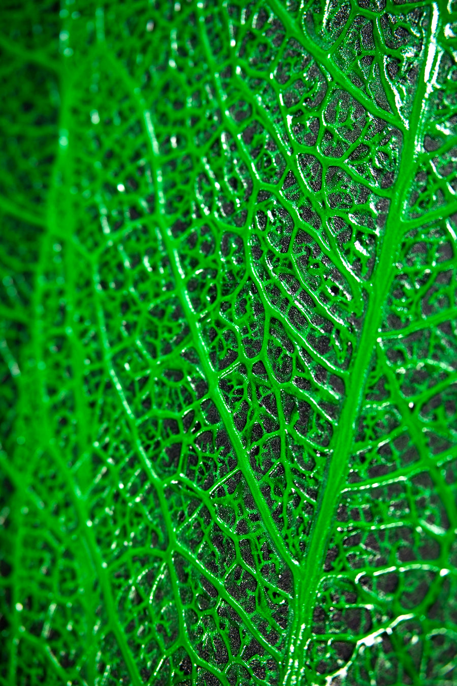 Verdant Lattice: Botanik Ağ — Hissedilebilir 3D Kabartma + Parlak Lake Baskı