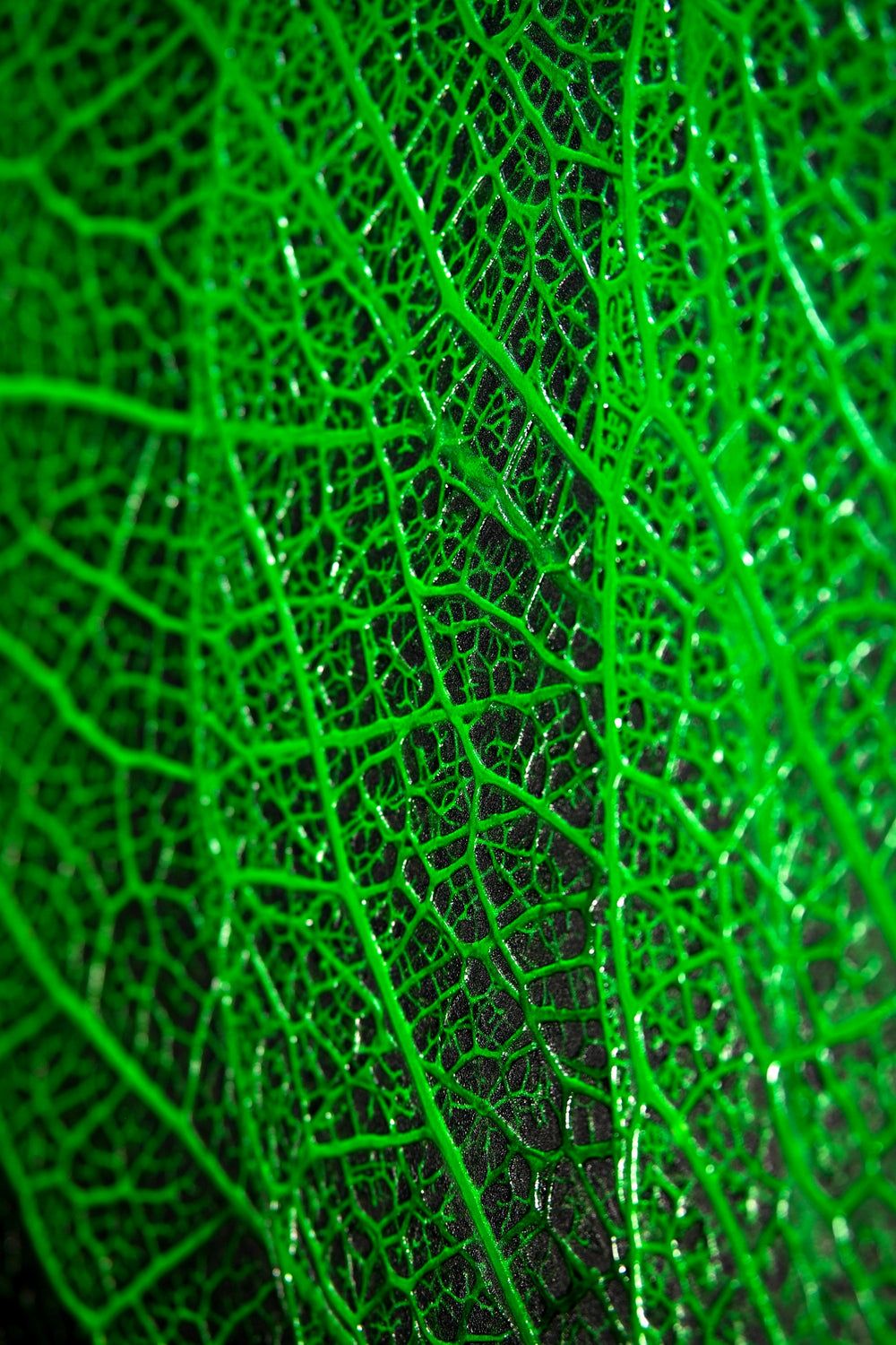 Verdant Lattice: Botanik Ağ — Hissedilebilir 3D Kabartma + Parlak Lake Baskı