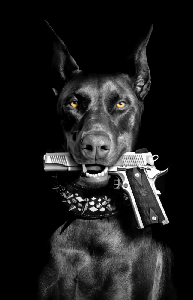 Av Köpeği Cam Tablo || Tasarımcı Koleksiyonu