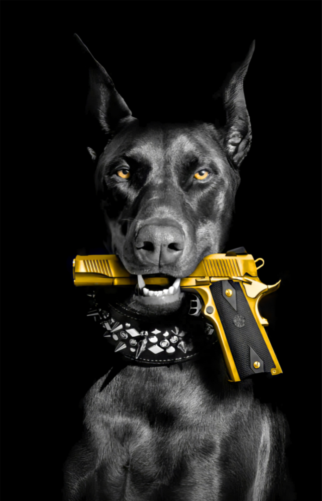 Av Köpeği Cam Tablo || Tasarımcı Koleksiyonu