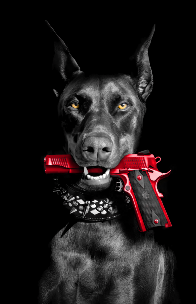 Av Köpeği Cam Tablo || Tasarımcı Koleksiyonu